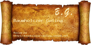 Baumholczer Galina névjegykártya
